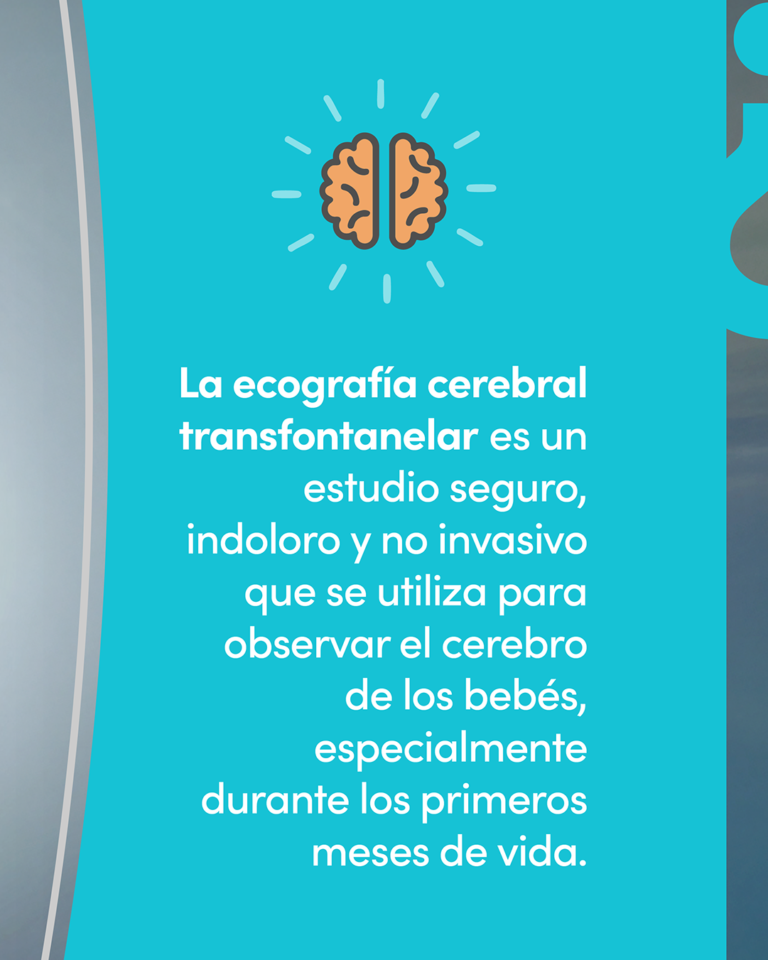 1 Ecografía cerebral_2