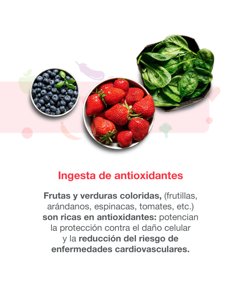 11-08 Nutrición y salud cardiovascular-05